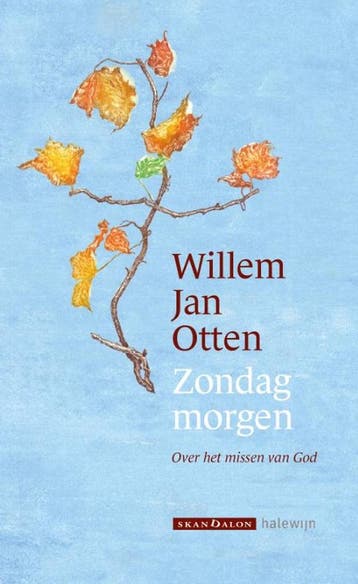 Verrijzen voor beginners - Willem Jan Otten 9789493220157, Verzenden, Zo goed als nieuw, Willem Jan Otten