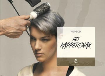 Hair level het Kappersvak - Visavi 9789491277610, Boeken, Verzenden, Zo goed als nieuw, Visavi