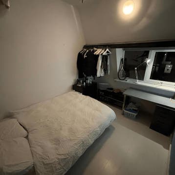 Kamer in Delft gevonden voor €650,- pm, Minder dan 20 m², Delft