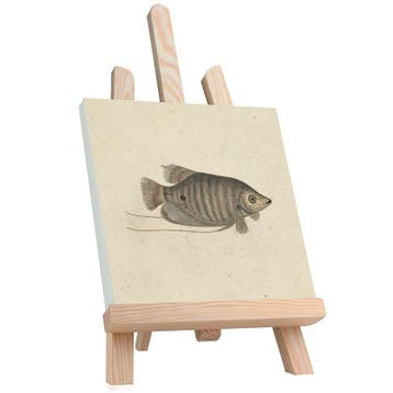 Tafelezel Andy - 37 cm Beukenhout, Hobby en Vrije tijd, Schilderen, Ophalen of Verzenden, Nieuw