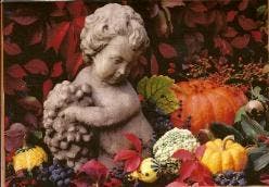 Kaart U 1361, Diversen, Wenskaarten, Nieuw, Ophalen of Verzenden