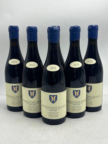2022 Boyer - De Bar Bourgogne Pinot Noir - Bourgogne - 6, Nieuw