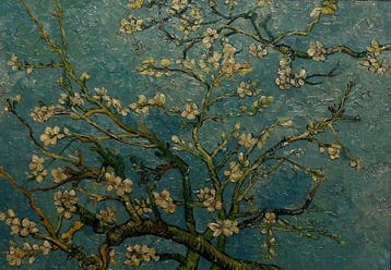 Franse school (XX) - Da Vincent Van Gogh - Ramo di mandorlo