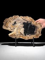 Prachtige plak versteend hout op een op maat gemaakte