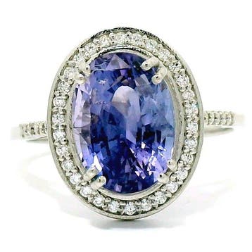 Ring Platina - 4.78ct. tw. Saffier - Diamant - Sapphire Halo, Nieuw