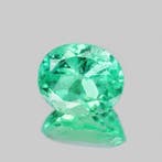 1 pcs Groen Smaragd - 1.66 ct - nternational Colored, Nieuw