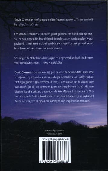 De stem van Tamar 9789059366848 David Grossman, Boeken, Verzenden, Gelezen, David Grossman