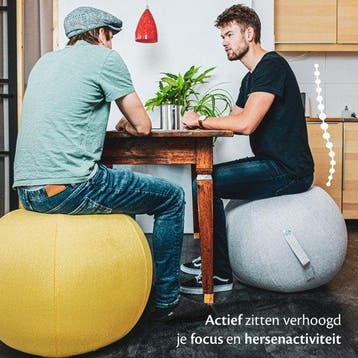 2dekans | Bckz Zitbal Kantoor en Thuis 75 CM - Luxe Yoga Bal, Ophalen of Verzenden, Zo goed als nieuw