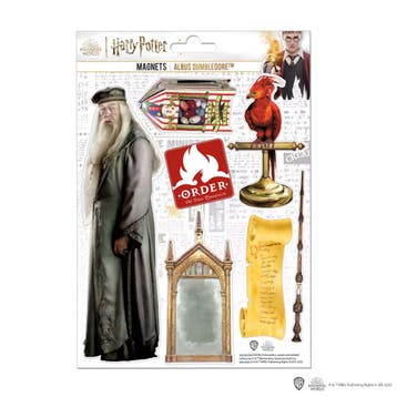 Harry Potter Magneten Albus Dumbledore, Ophalen of Verzenden, Nieuw