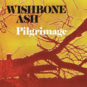 cd - wishbone ash - PILGRIMAGE (nieuw), Verzenden, Zo goed als nieuw
