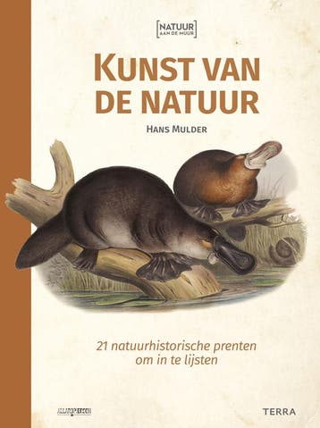 Natuur aan de muur - Kunst van de natuur (Goed), Verzenden, Gelezen, Hans Mulder