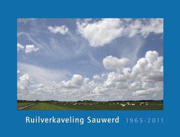 Ruilverkaveling Sauwerd 1965-2011 9789079742004, Verzenden, Zo goed als nieuw, Henk van den Brink