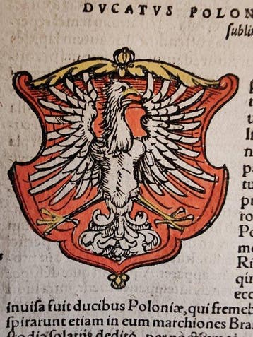 Sebastian Münster (1489–1552) - Cosmographia Universalis -