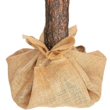 Kunstkerstboom 220 cm | Houten Stam | Nieuw | Scherpe Prijs, Diversen, Sinterklaas, Ophalen of Verzenden, Nieuw