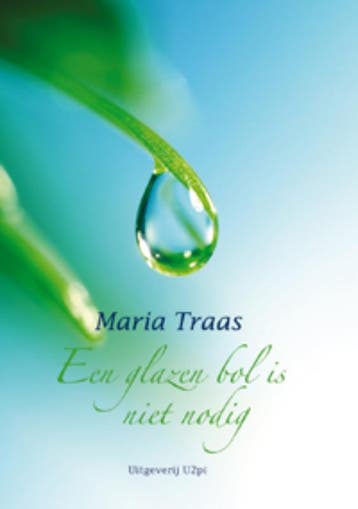 Een glazen bol is niet nodig - M. Traas 9789087590833, Boeken, Verzenden, Gelezen, M. Traas