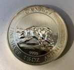 Canada. 8 Dollars 2013 Polar Bear (Zonder minimumprijs)