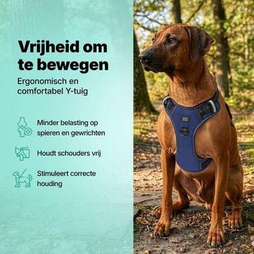 2dekans | Jake and Jacky Hondentuigje - Anti-Trek Tuig -, Dieren en Toebehoren, Ophalen of Verzenden, Zo goed als nieuw