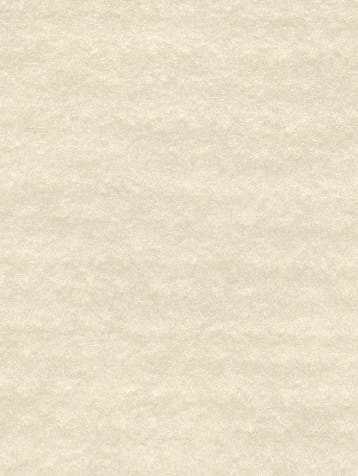 Merino Naaldvlies naturel wit, Ophalen of Verzenden, Nieuw, Overige typen