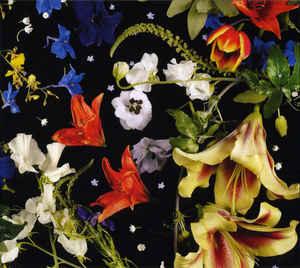 cd digi - Hegemund - Nuit Blanche, Cd's en Dvd's, Cd's | Overige Cd's, Zo goed als nieuw, Verzenden