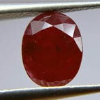 1 pcs Rood Robijn - 1.95 ct - International Gemological, Nieuw