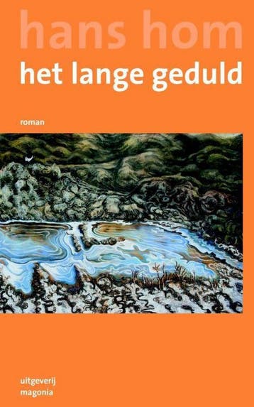 Het lange geduld - Hans Hom 9789492241016, Verzenden, Zo goed als nieuw, Hans Hom