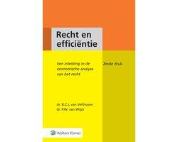 Boek Recht en efficiëntie 9789013141467, Boeken, Verzenden, Zo goed als nieuw