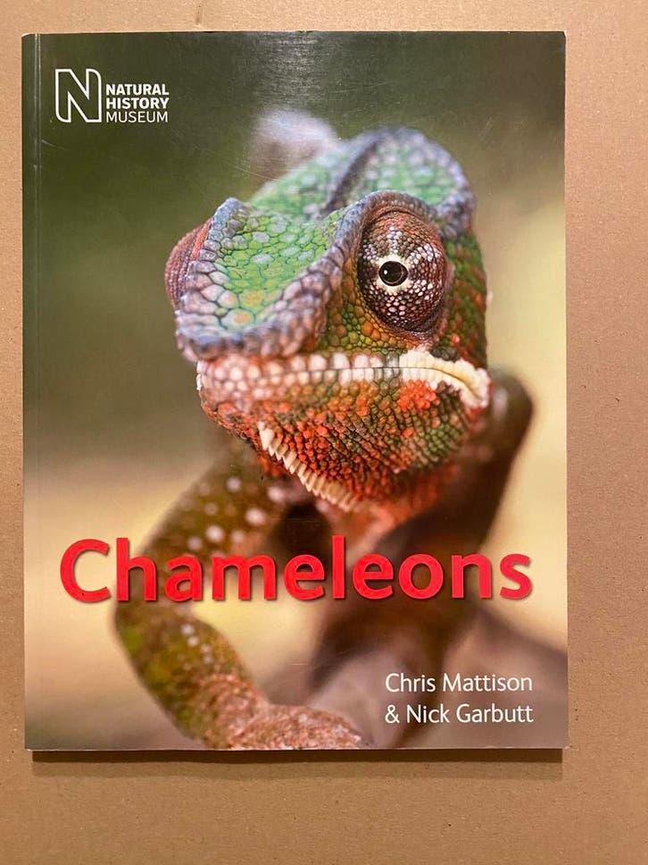 Kameleons - Leefwijze - Voeding - Soorten  ENGELS nieuwstaat, Boeken, Dieren en Huisdieren, Gelezen, Reptielen of Amfibieën, Ophalen of Verzenden