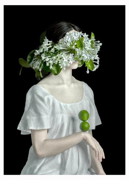 Elena Paraskeva - Botanica Somnia #1 (Baryta Silk) - XL, Antiek en Kunst, Kunst | Designobjecten