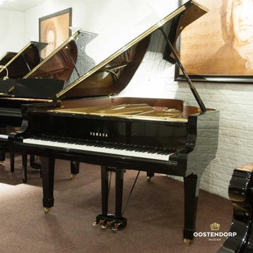 Yamaha C6 PE messing Vleugel, Nieuw