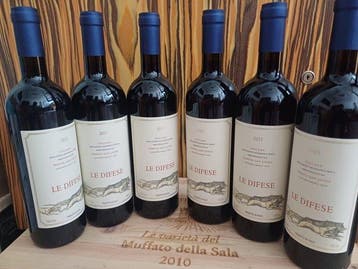 2021 Tenuta San Guido, Le Difese - Toscane IGT - 6 Flessen, Nieuw