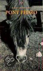 Pony Pedro 9783746654256 Erwin Strittmatter, Verzenden, Gelezen, Erwin Strittmatter