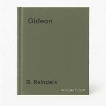 Gideon - B. Reinders 9789074787482, Boeken, Verzenden, Zo goed als nieuw, B. Reinders