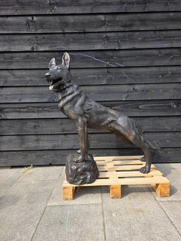 Beeld, Bronze: XL Shepherd Dog - 102 cm - Brons - 2026, Antiek en Kunst