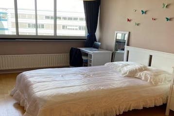 Kamer Gedempte Zalmhaven in Rotterdam, 20 tot 35 m², Rotterdam