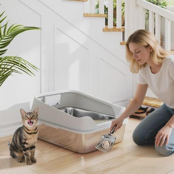 XXL Rvs Kattenbak met Hoge Rand, Lekvrij en Makkelijk Schoon, Verzenden, Nieuw