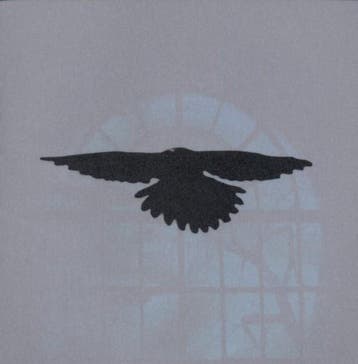 dvd muziek box - kruk - IT WILL NOT COME BACK (nieuw), Verzenden, Zo goed als nieuw