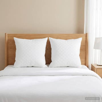 vidaXL Hoofdkussen FULDA 2 st 40 x 40 cm 100% Ganzendons en, Verzenden, Nieuw, Wit