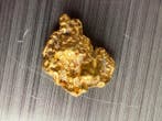 Goud Goud nuggets- 0.2 g - (1)