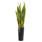 Sansevieria kunstplant, H115cm, Ophalen of Verzenden, Overige soorten, 100 tot 150 cm