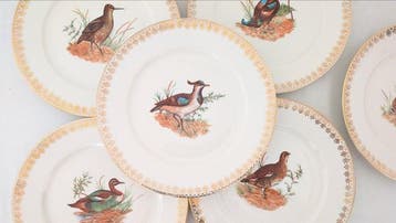 Seltmann Bavaria - Per 6 persone - Tafelservies (6) -