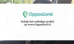 Ik ben Anna, 18 jaar oud en ik zoek oppaswerk in Zutphen.