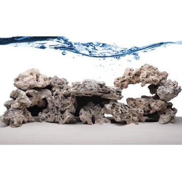 Fiji Skeleton Rock - ronde stukken (dood) levend steen (20KG, Ophalen of Verzenden, Nieuw
