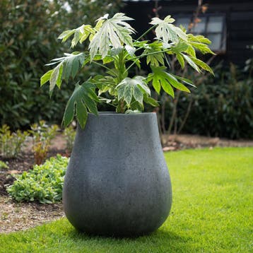 Ash L 71x80 cm Anthracite, Verzenden, Nieuw, Rond, Beton
