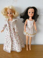 Pedigree Dolls & Toys - Pop Sindy - 1970-1980 - Verenigd