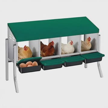Legnest Kippen 4 Vakken Metaal Groen met Automatische Eieraf, Verzenden, Nieuw