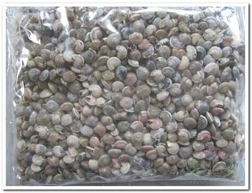Umbonium Schelpenmix Button 1 kilo, Ophalen of Verzenden, Nieuw