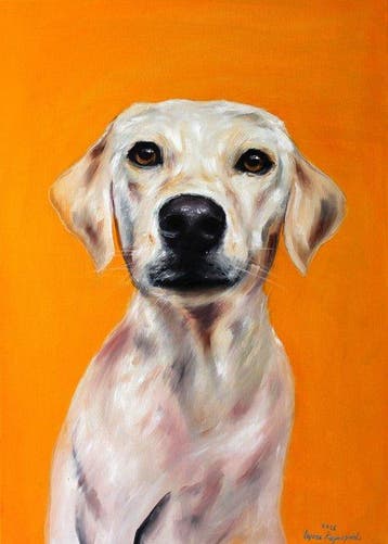 Iwona Kopczyska - Labrador