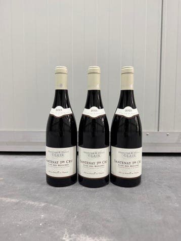 2023 Françoise & Denis Clair Clos de Mouches - Santenay, Nieuw
