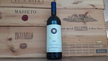 2016 Tenuta San Guido, Sassicaia - Bolgheri DOC - 1 Fles, Nieuw
