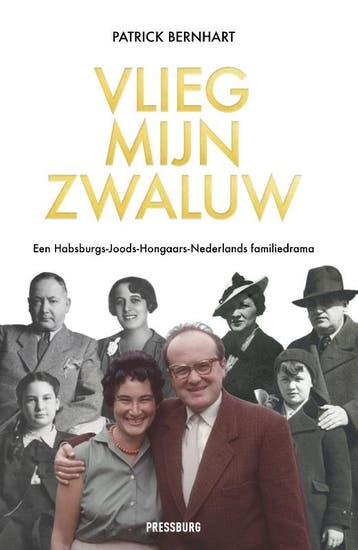 Vlieg, mijn zwaluw - Patrick Bernhart 9789083326405, Boeken, Verzenden, Zo goed als nieuw, Patrick Bernhart